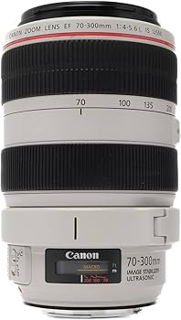 Amazon.com: Canon EF 70-300mm f4-5.6 L is USM Lenses